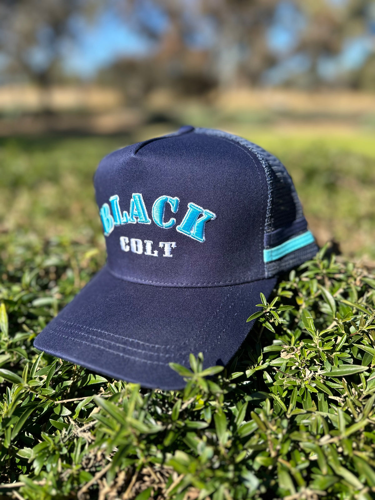 American Style Trucker Cap - Navy & Blue