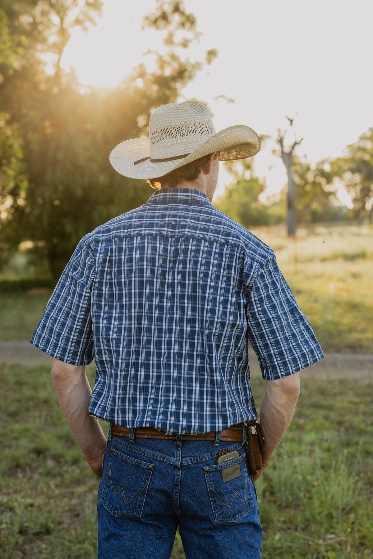 Men's Short Sleeve Shirt - Green & Navy Check
