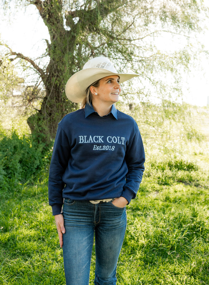 Navy Pullover Jumper