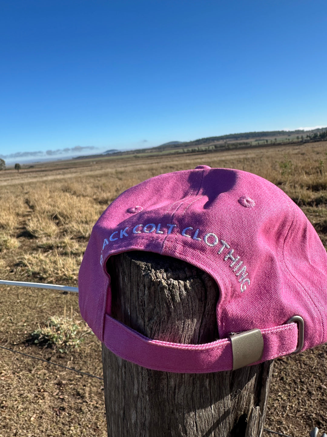 Baseball Cap - Pink Cow cap