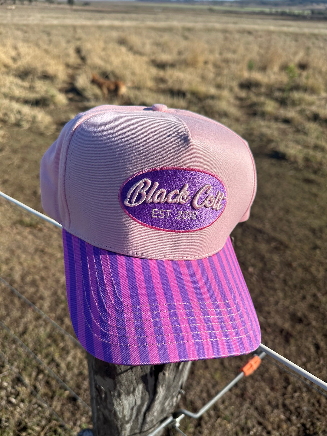 Retro Pink Stripe cap